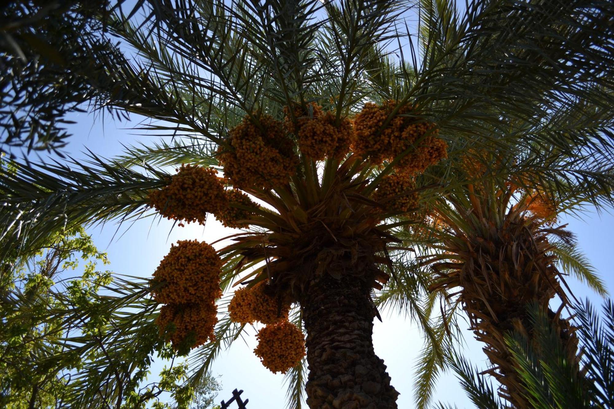 Dar Lorkam Skoura Exterior foto