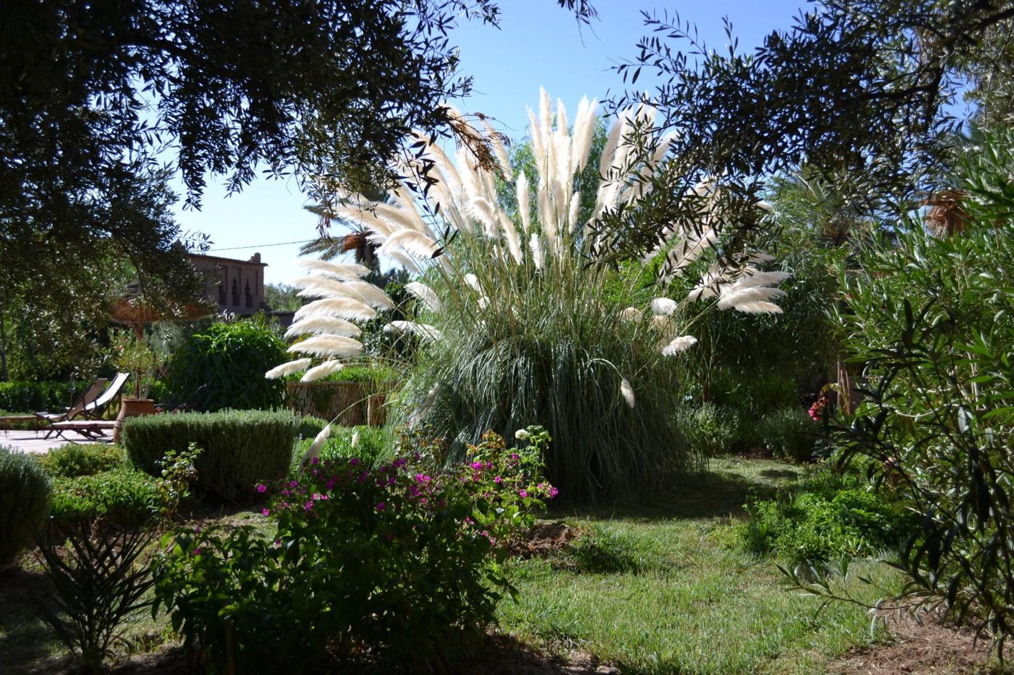 Dar Lorkam Skoura Exterior foto